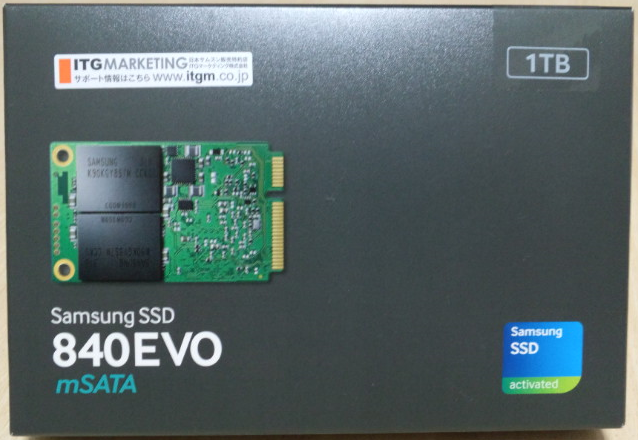 Samsung SSD 840 EVO mSATA MZ-MTE1T0B/IT
